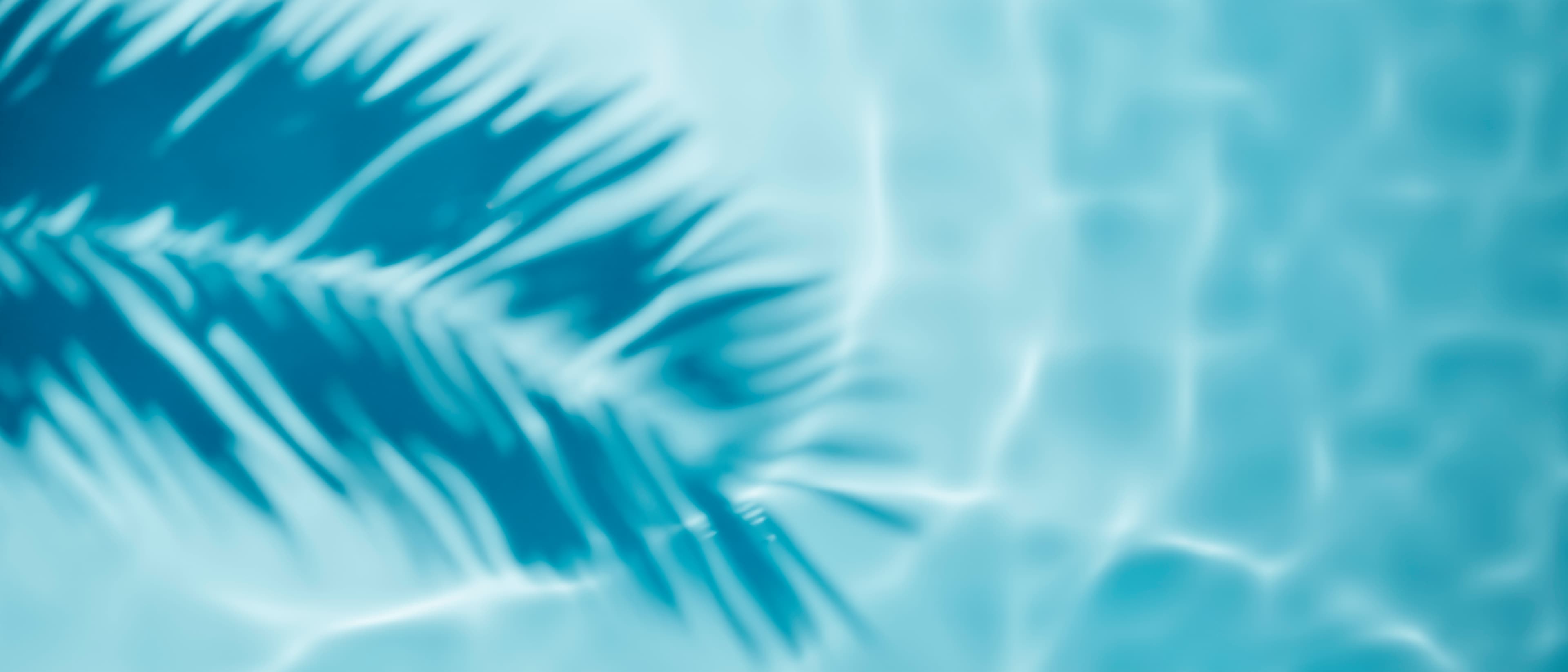 Pompe de piscine silencieuse: quel modèle choisir ?