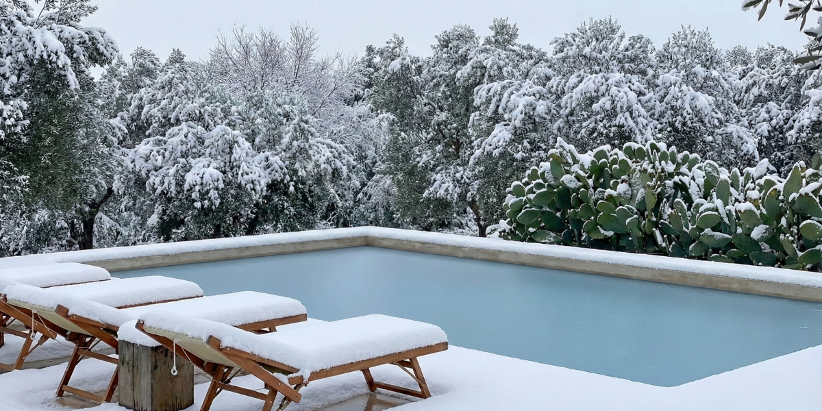 5 erreurs courantes d’hivernage à éviter