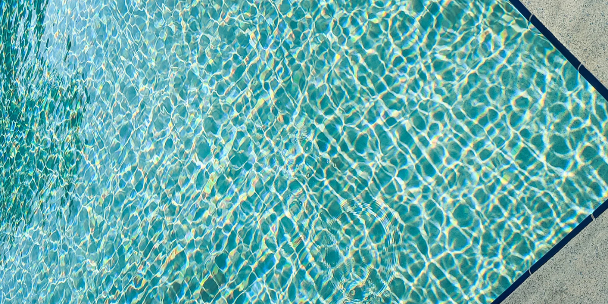 Algues blanches piscine : comment s'en débarrasser ?