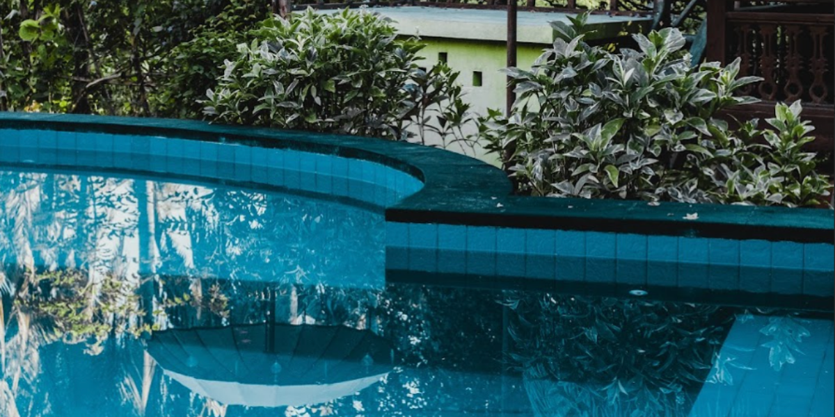 Anti algue piscine : quel est le meilleur traitement rapide ?