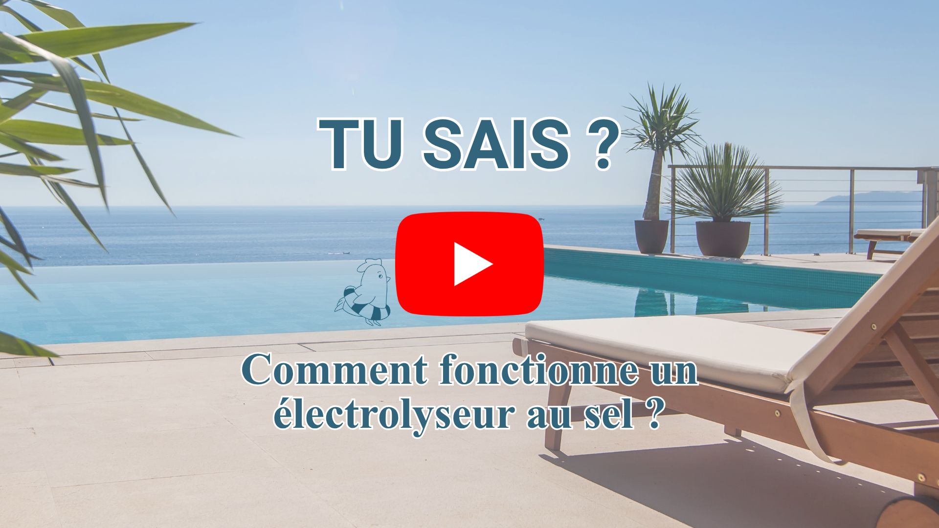 Comment fonctionne un électrolyseur au sel pour piscine ?