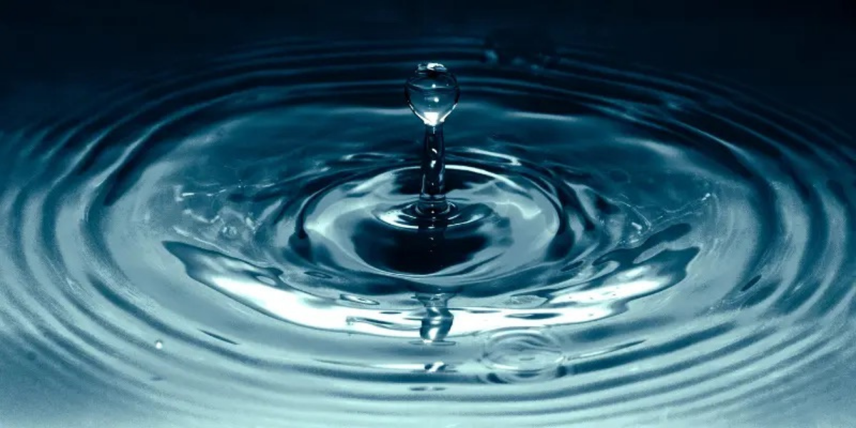 Comment nettoyer la cellule d’électrolyseur de sa piscine ? Les conseils Pool planet