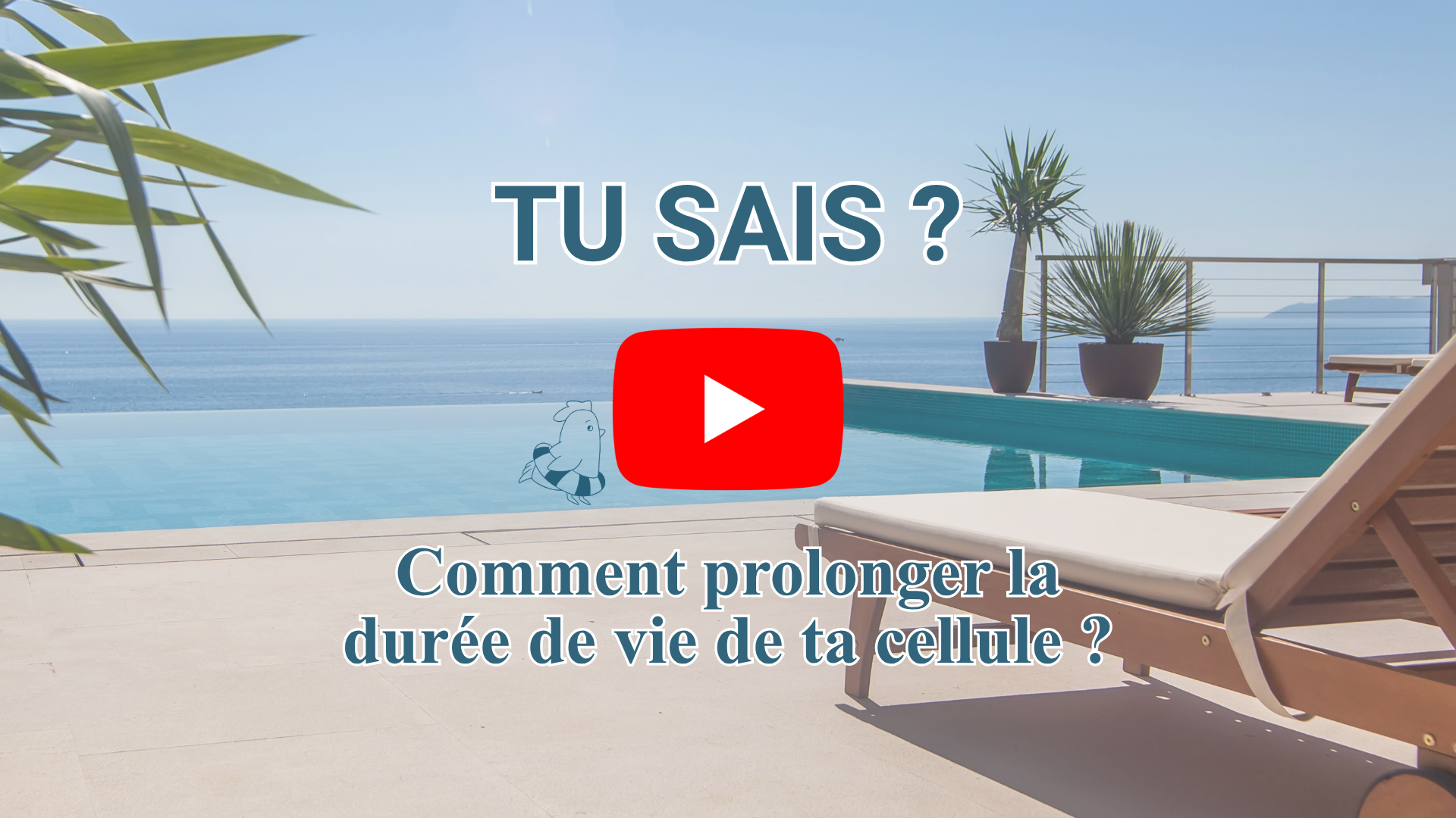 Comment prolonger la durée de vie de sa cellule d'électrolyseur ?