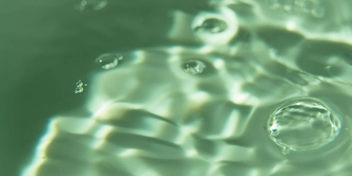 Pourquoi l'eau tourne-t-elle au vert l'hiver (et comment l'empêcher) ?