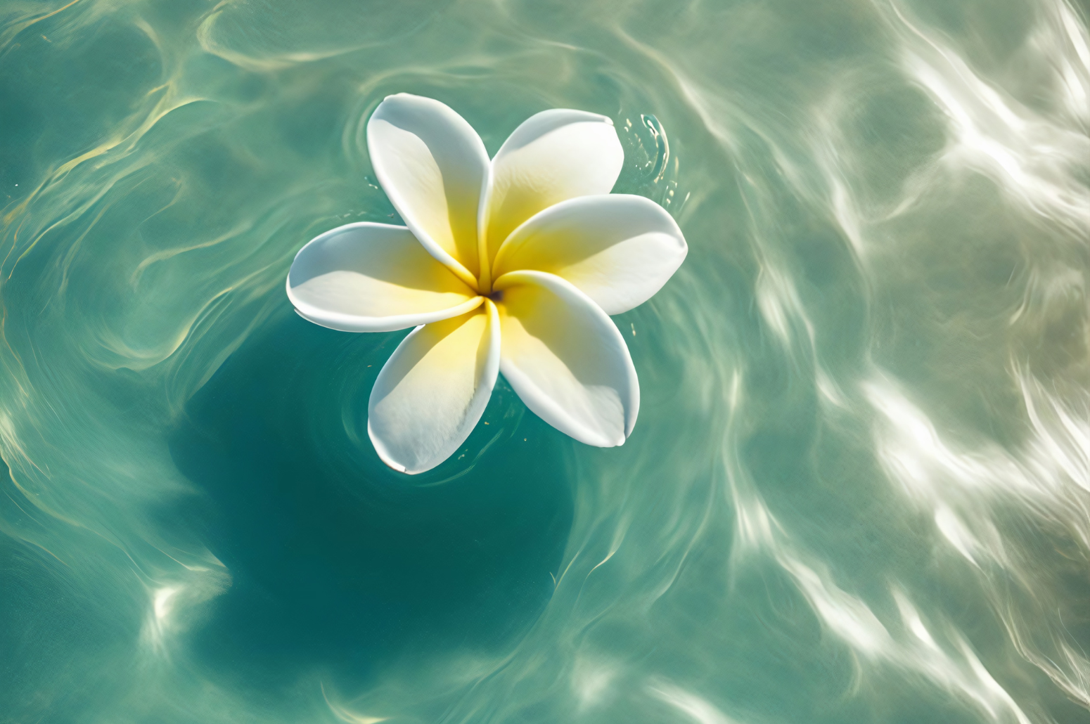 Algue moutarde : comment les identifier et les traiter dans votre piscine