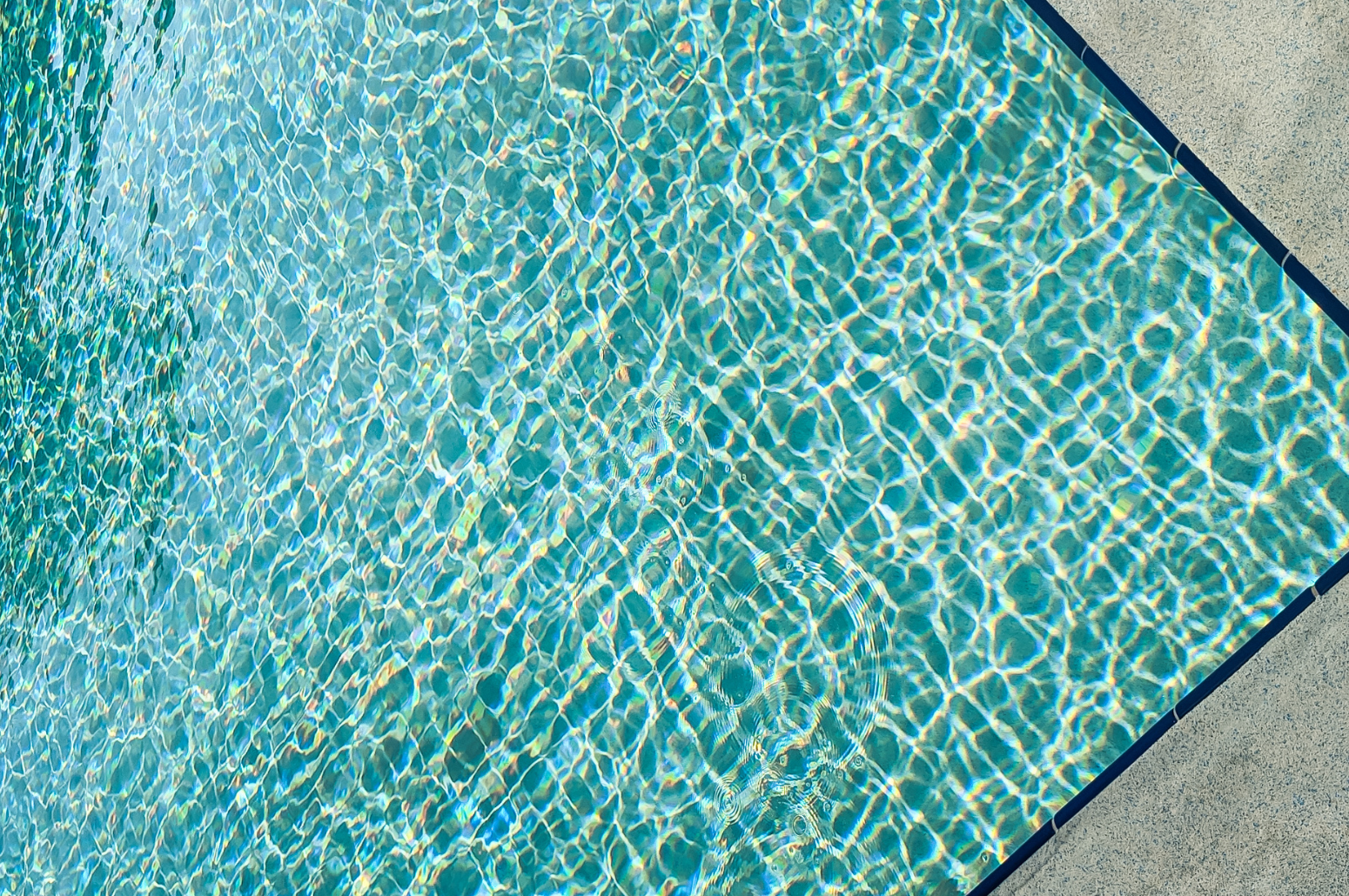 Algues blanches piscine : comment s'en débarrasser ?