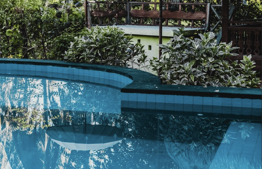 Anti algue piscine : quel est le meilleur traitement rapide ?