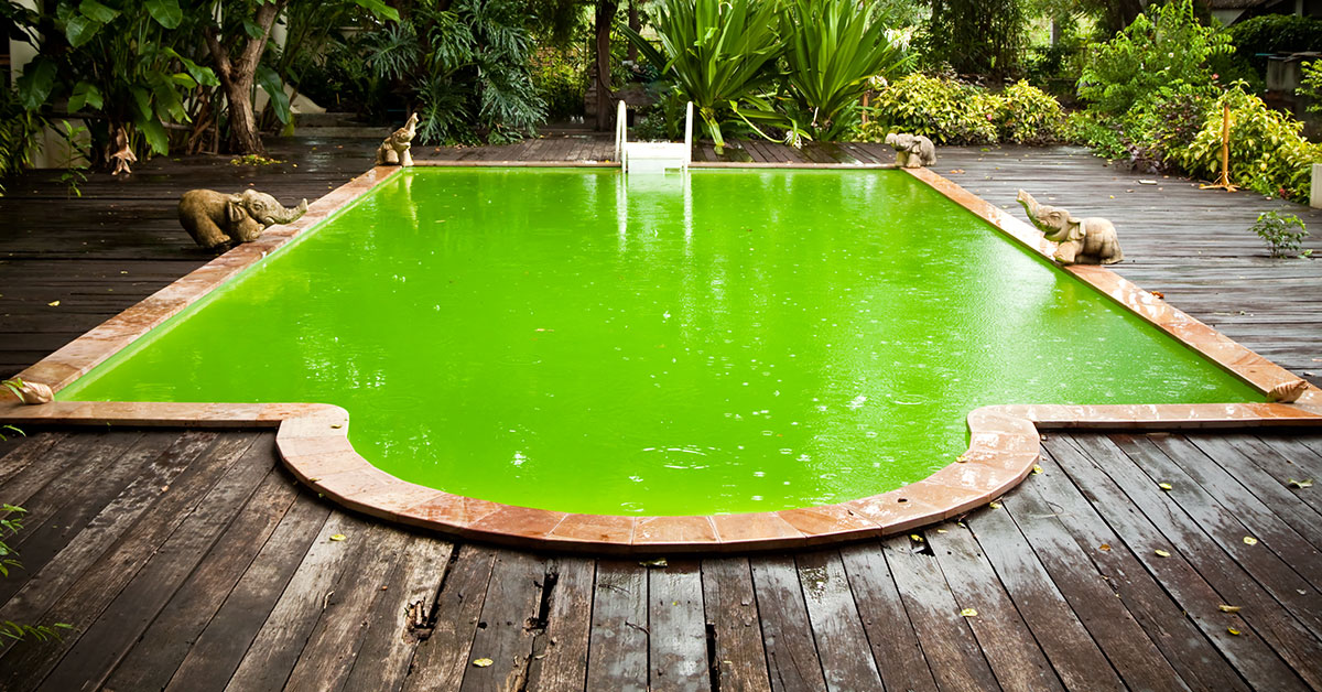 Eau verte de piscine : remèdes de grand-mère et traitement choc qui marchent vraiment
