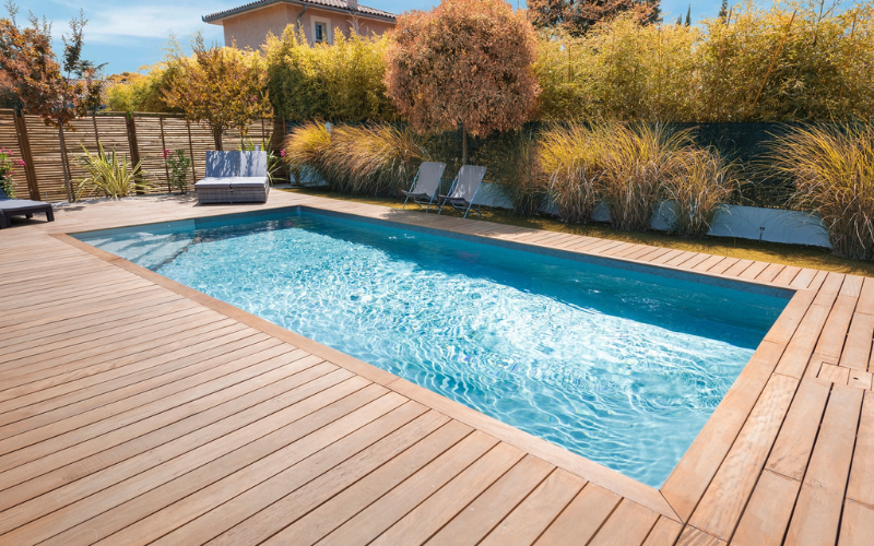 Hivernage dans les régions douces : actif ou passif ?