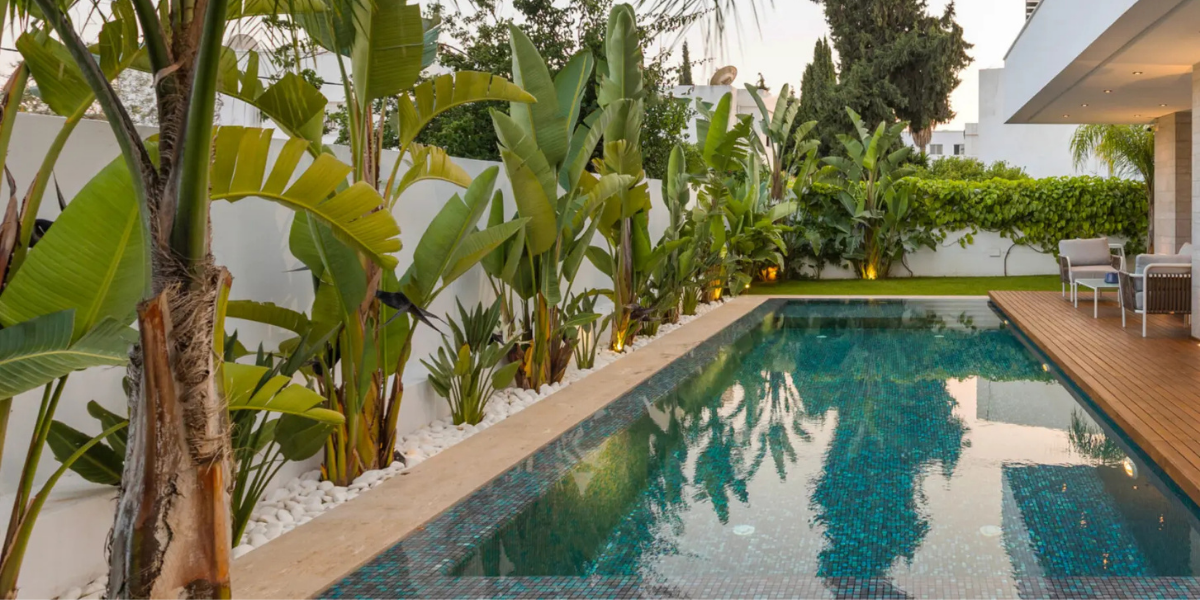 Bien entretenir son matériel : les sondes pH / RedOx