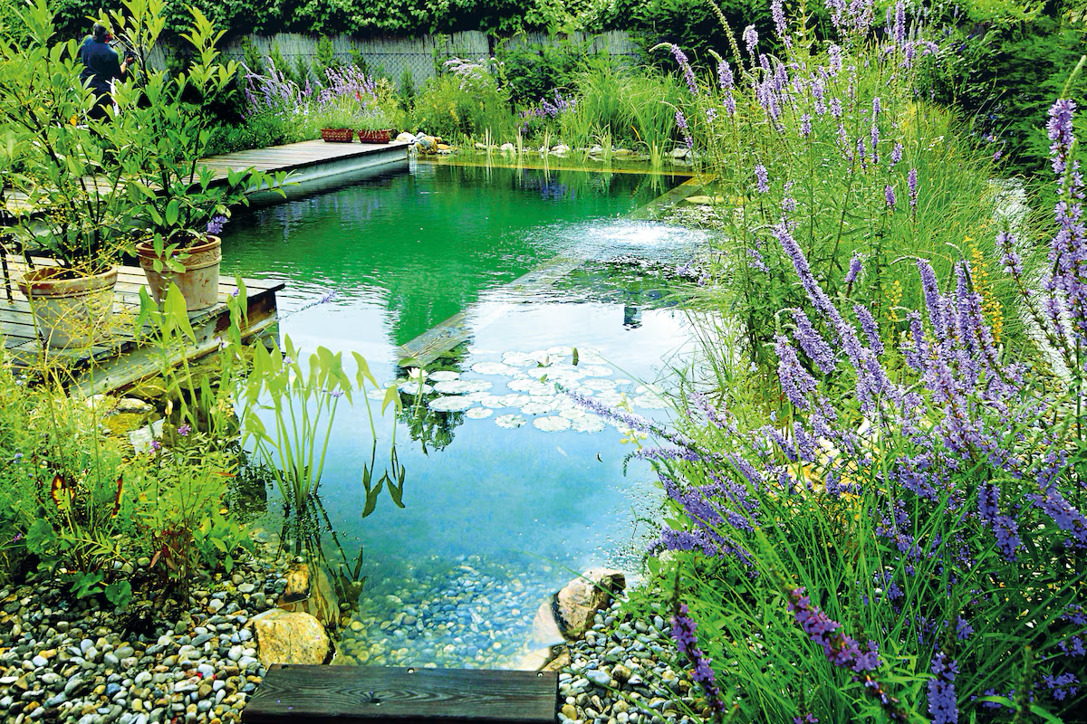 Piscine traditionnelle VS piscine naturelle ?
