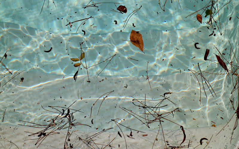 Pluie, vent, feuilles : protéger l’eau de la piscine tout l’hiver