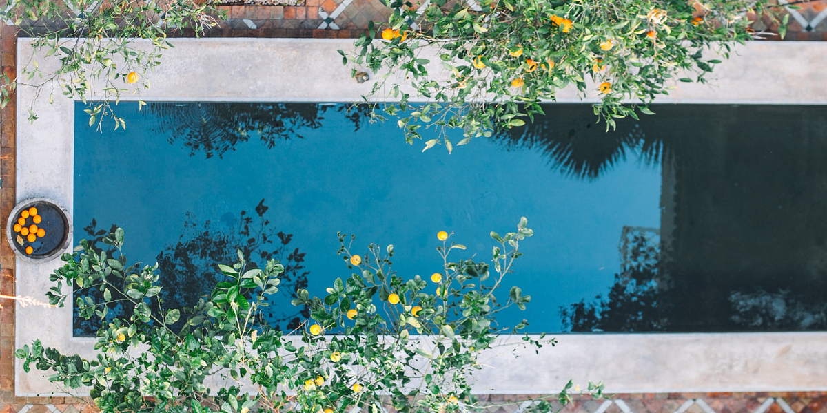 Piscine entourée de verdure, illustrant les grandes marques proposées par Poolplanet : ABB, Aiper, AstralPool, Hayward, Maytronics, Pentair, Schneider Electric et bien d’autres fabricants d’équipements pour piscines.