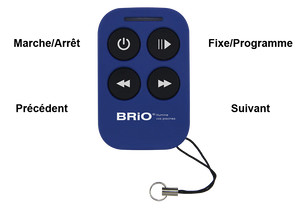 Télécommande Brio RC+ CCEI – Remplacement Radio pour Pilotage Projecteur Piscine LED - Pool Planet