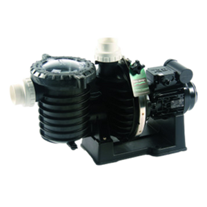 Pompe de filtration - 5P6R - STA-RITE - Pool Planet