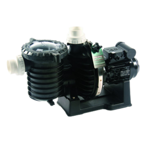 Pompe de filtration - 5P6R - STA-RITE - Pool Planet