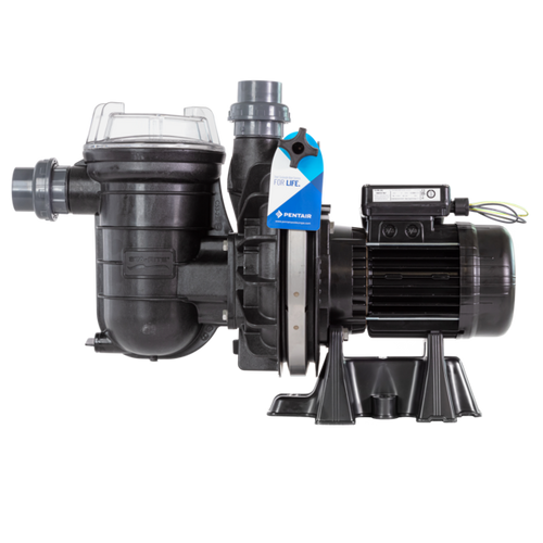 Pompe de filtration piscine La Sta-rite - Triphasée - STA-RITE - Pool Planet