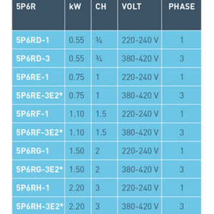 Pompe de filtration - 5P6R - STA-RITE - Pool Planet