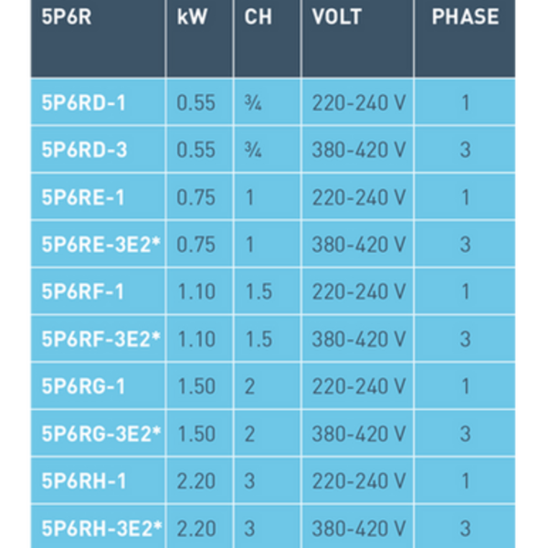 Pompe de filtration - 5P6R - STA-RITE - Pool Planet