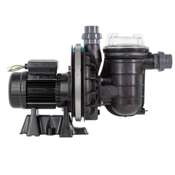 Pompe de filtration piscine La Sta-rite - Triphasée - STA-RITE - Pool Planet