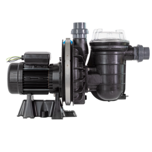 Pompe de filtration piscine La Sta-rite - Monophasée - STA-RITE - Pool Planet