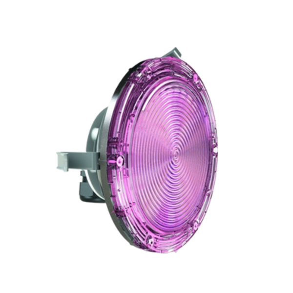 Projecteur LED Brio-Z ZX30 pour niche standard PAR56 - Couleurs RGBW - 30W - CCEI - Pool Planet