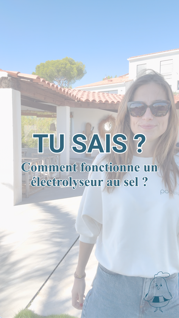 Comment fonctionne un électrolyseur au sel ?